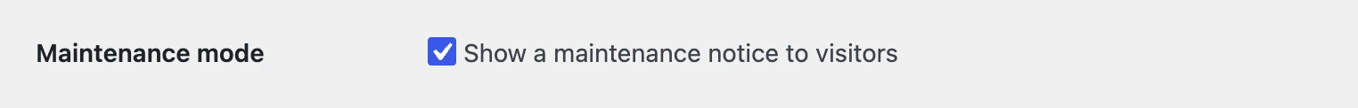 The checkbox on the options page, checked, with its text next to it