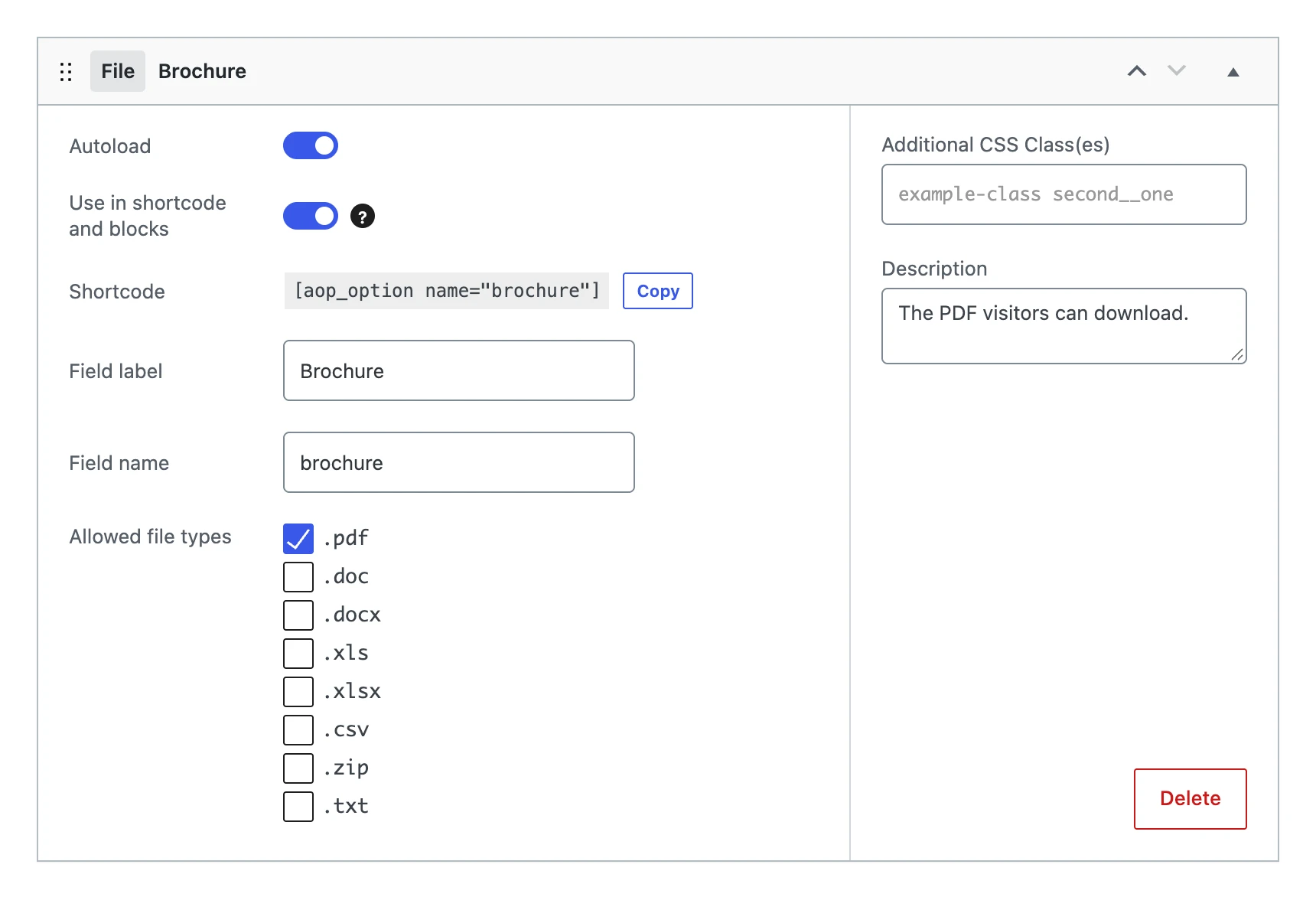 A file field in the editor, with .pdf as the allowed file type