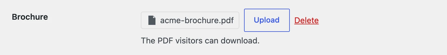 The file field on the options page, with the chosen PDF, an Upload button and a Delete link