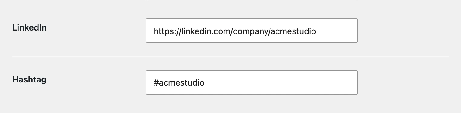 A horizontal rule on the options page, between the LinkedIn field and the Hashtag field